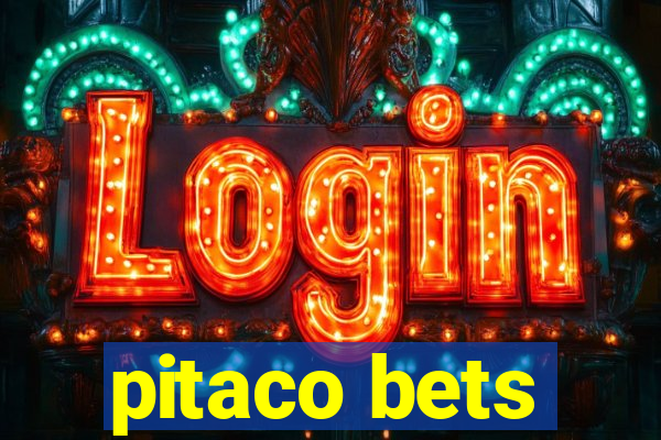 pitaco bets